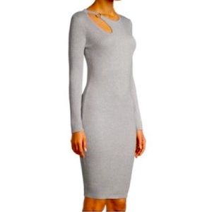 Silver Gray Metallic Lamé Knit Long sleeve dress